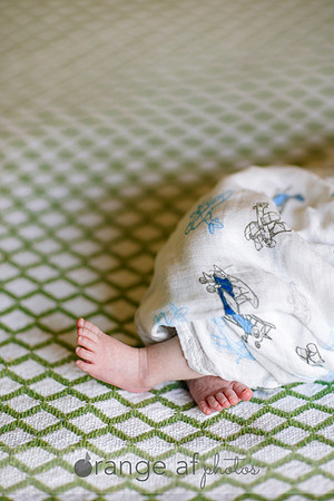 MinneapolisNewbornPhotographer-10