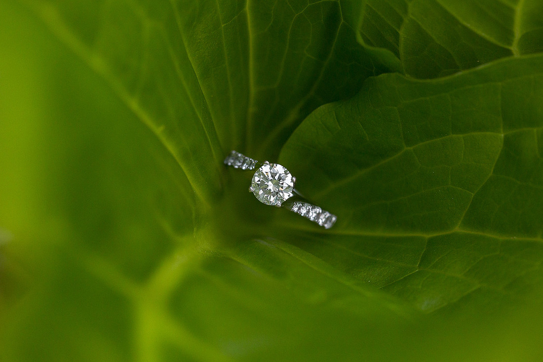BloomingtonEngagementPhotographer_6