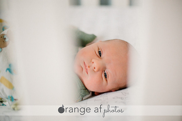 CarverCountyNewbornPhotographer_1