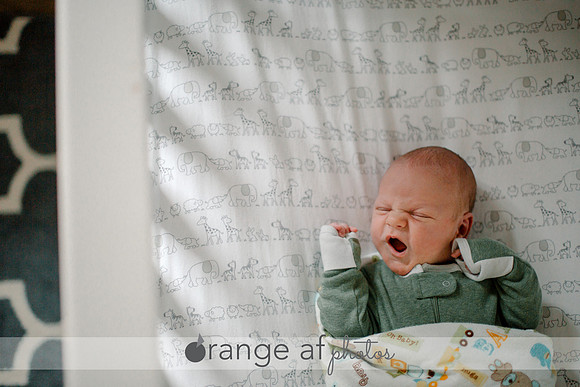 CarverCountyNewbornPhotographer_2