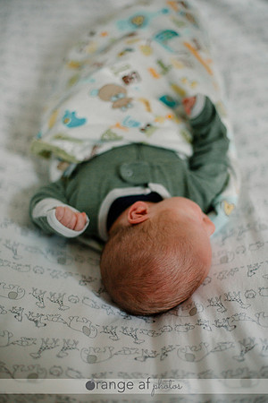 CarverCountyNewbornPhotographer_3