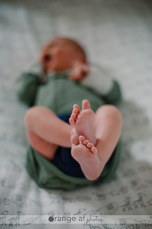 CarverCountyNewbornPhotographer_4