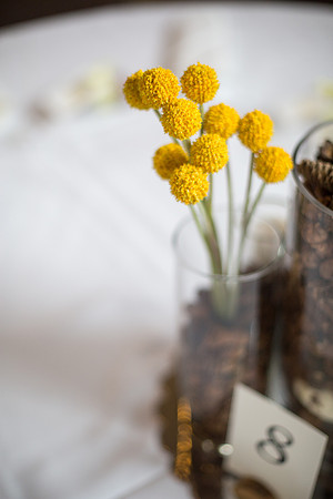 StPaulWeddingPhotographer_10