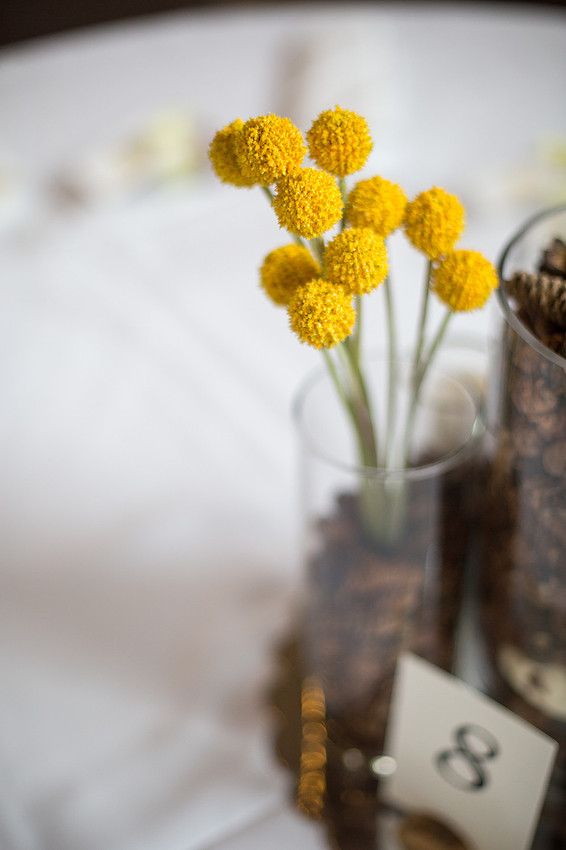 StPaulWeddingPhotographer_10