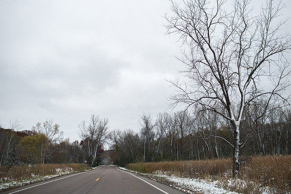 MinneapolisIntimateWeddingPhotographer_8