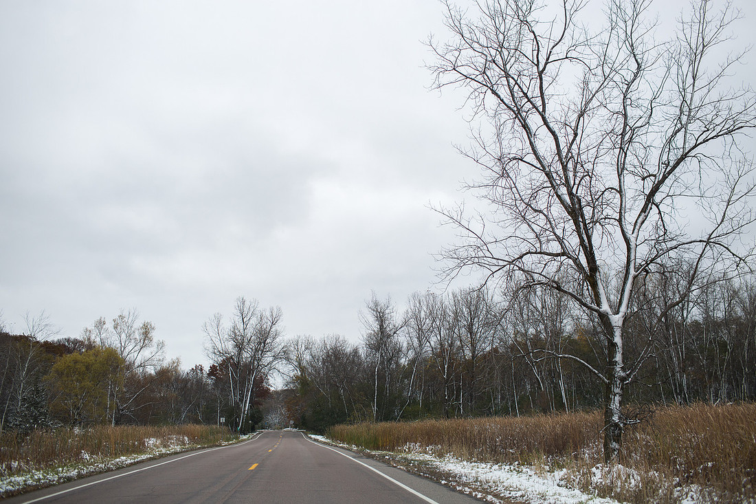 MinneapolisIntimateWeddingPhotographer_8