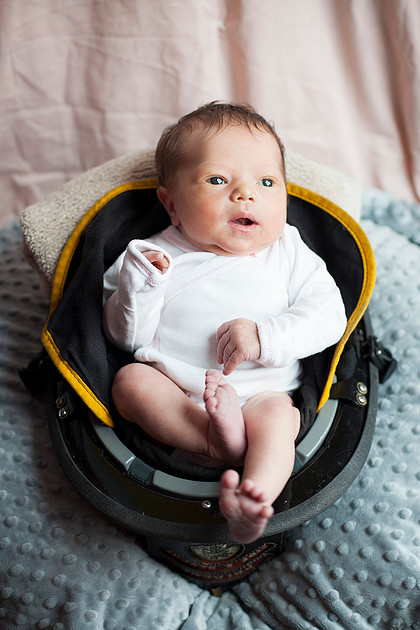 cologne mn newborn portrait photographer
