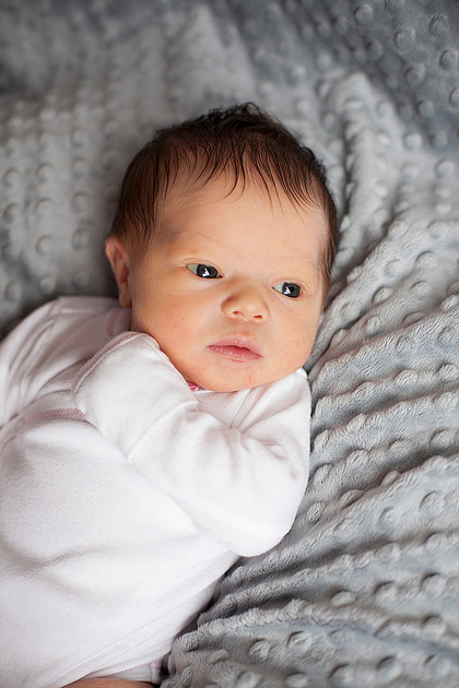 cologne mn newborn portrait photographer