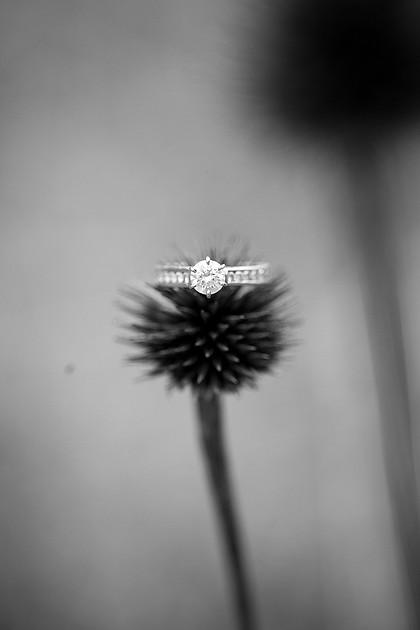 RochesterMNEngagementPhotographer_2