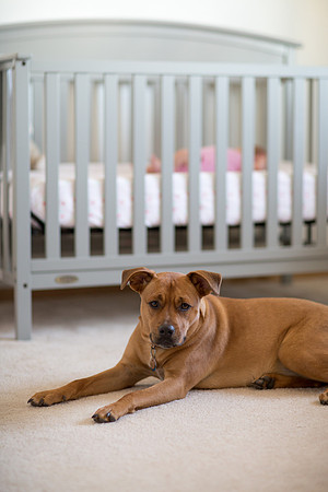 MidwestNewbornPhotographer_11