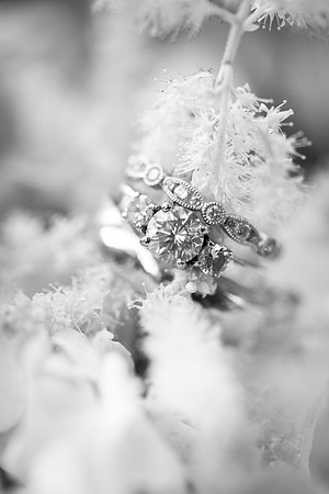 Details_023-2