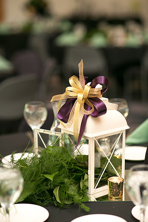 Chaska_MN_Wedding_Photographer_16