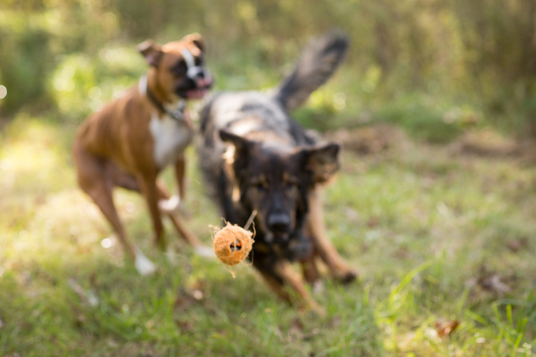 HamburgFamilyPhotographer_12