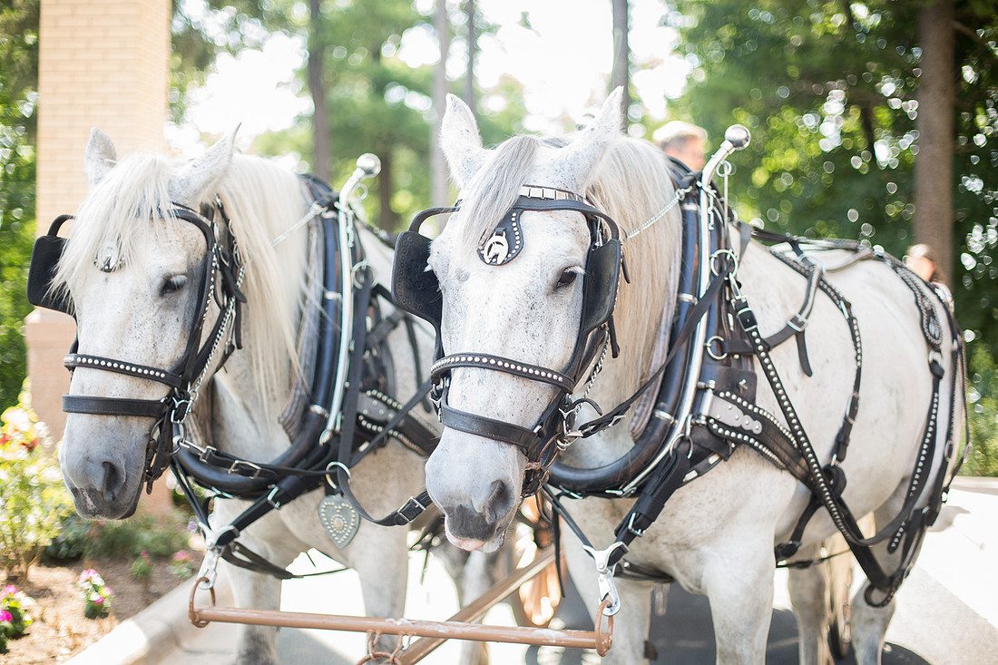 WaconiaMN_WeddingPhotographer_82