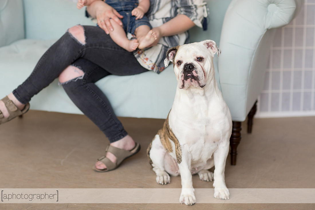 MinneapolisFamilyPhotographer_10