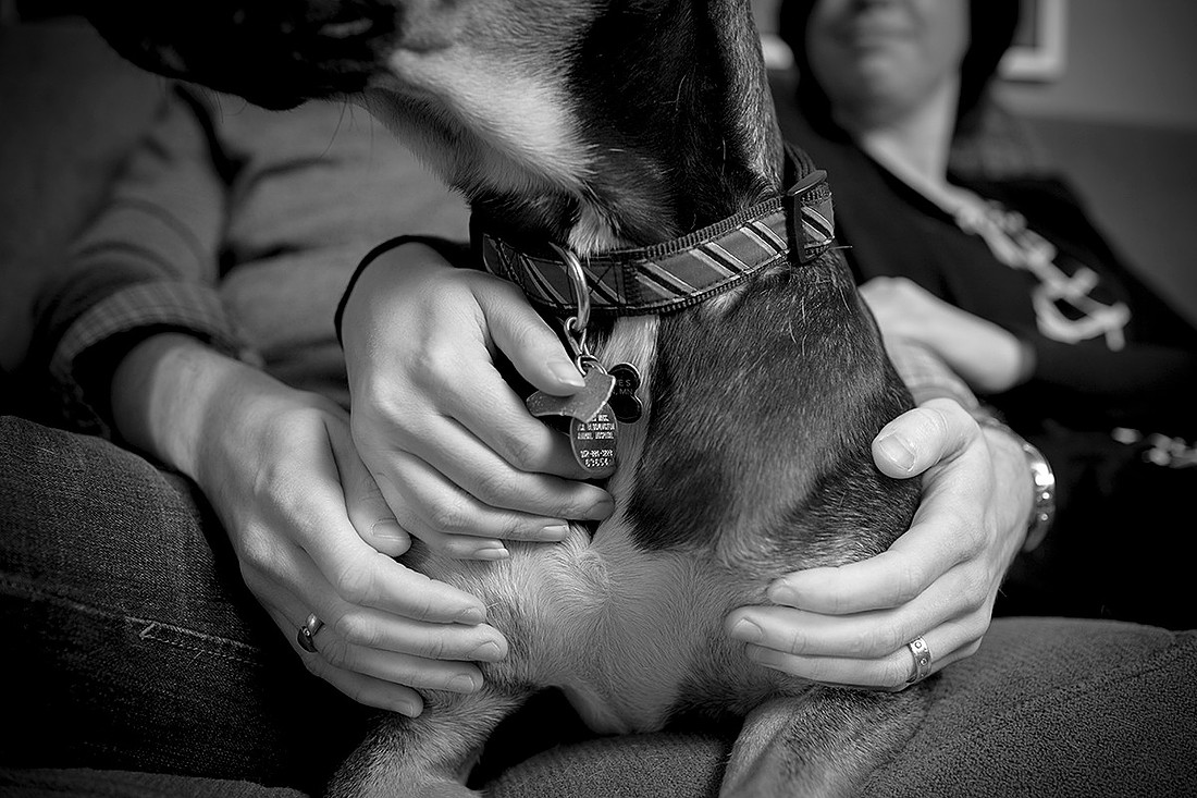 bloomington family photographer