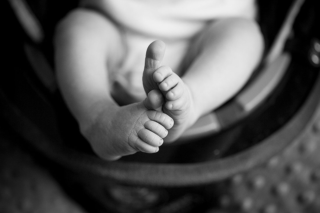 cologne mn newborn portrait photographer