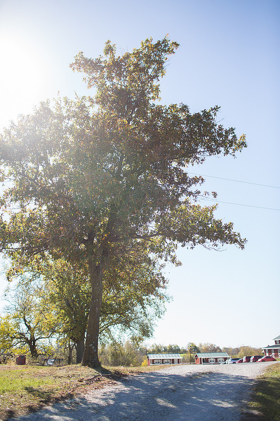 IowaWeddingPhotographer_2