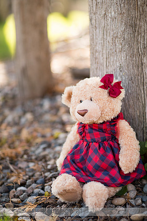 RochesterMNFamilyPhotographer_10