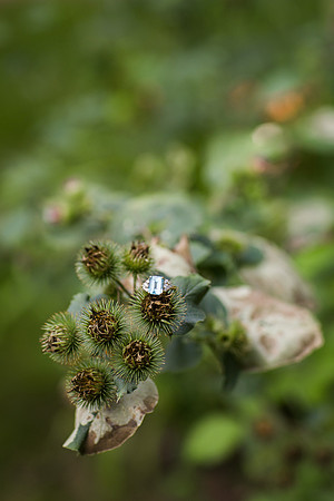 Minneapolis_MicroWeddingPhotographer_26