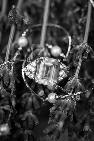 Minneapolis_MicroWeddingPhotographer_6