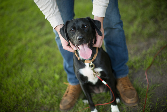 WaconiaEngagementPhotographer_10