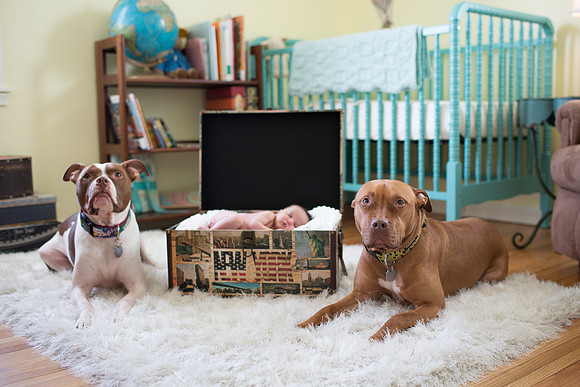 MinneapolisNewbornPhotographer_14