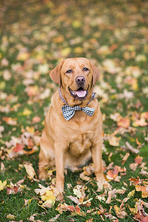 CarverCountyFamilyPhotographer_19