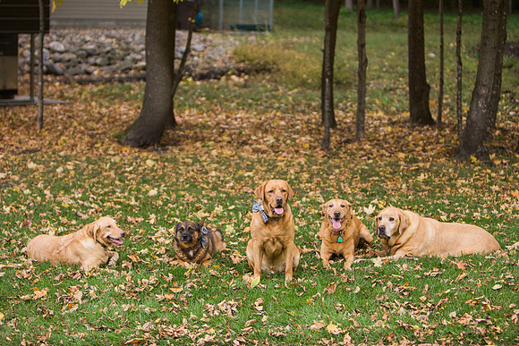 CarverCountyFamilyPhotographer_4