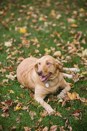 CarverCountyFamilyPhotographer_3