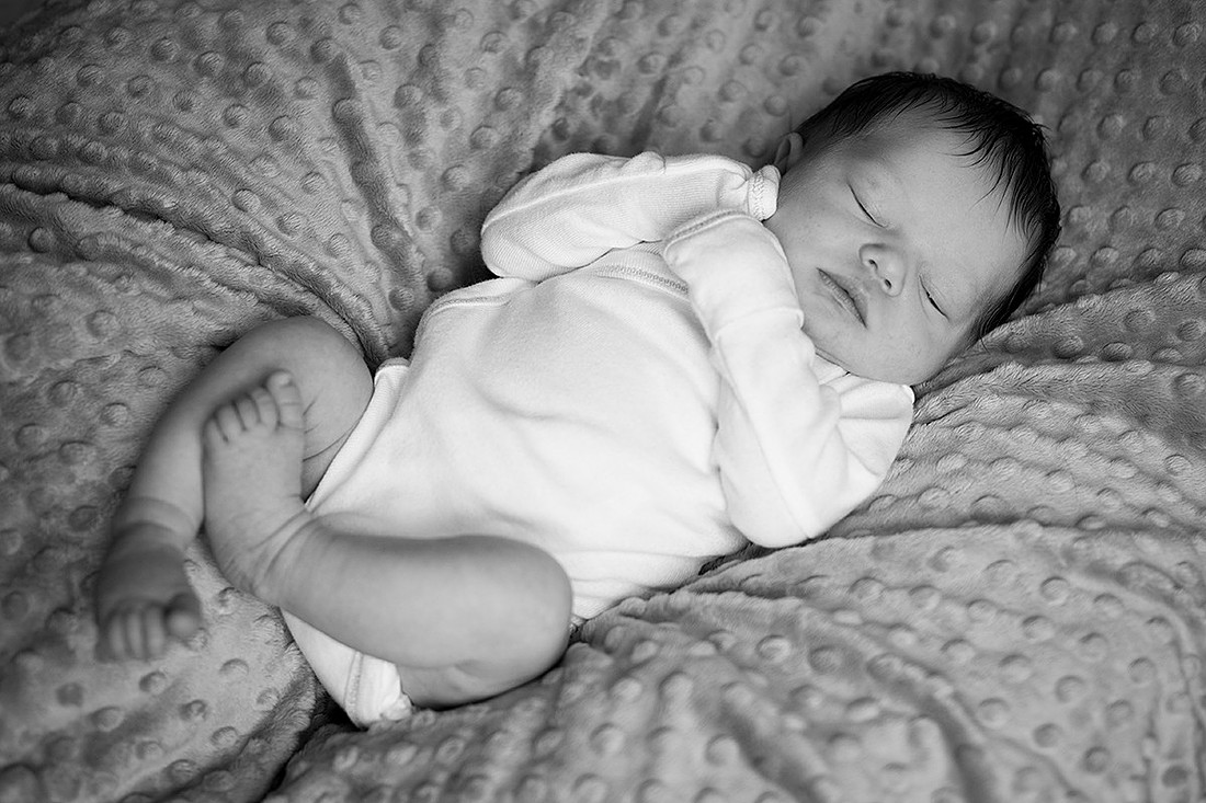 cologne mn newborn portrait photographer
