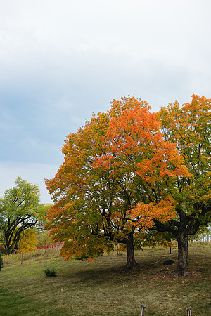 MinneapolisMNWeddingPhotographer-61