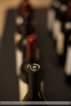 2016Wine&Cheese_022