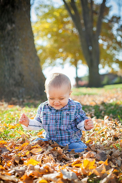 cologne mn child portrait photographer