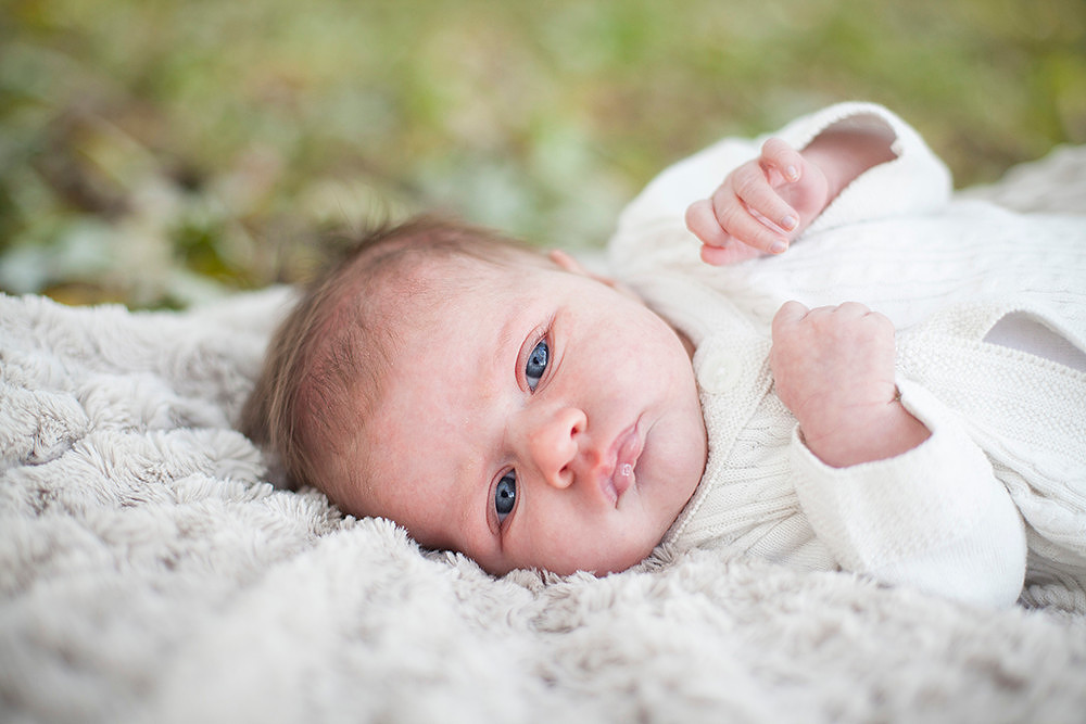 minneapolis family photographer
