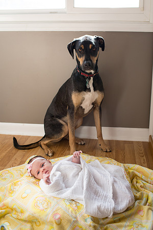MinneapolisNewbornPhotographer_14