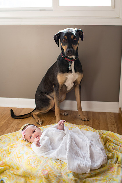 MinneapolisNewbornPhotographer_14