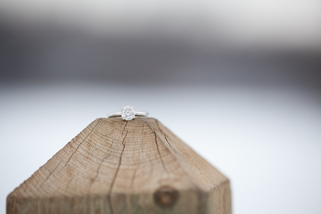 PriorLakeMNEngagementPhotography_-9