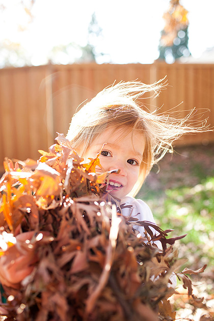 minneapolis family photographer