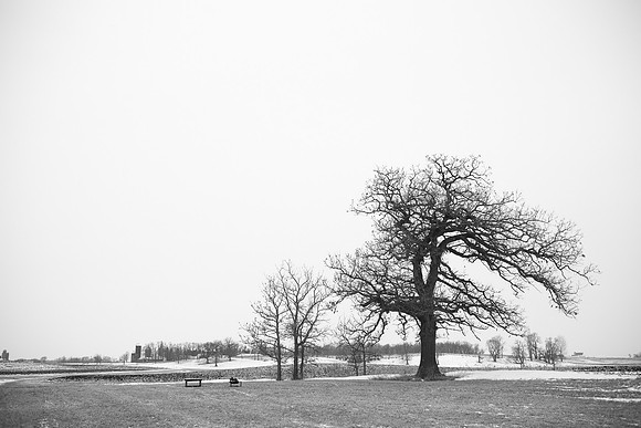 CologneMNEngagementPhotographer_20