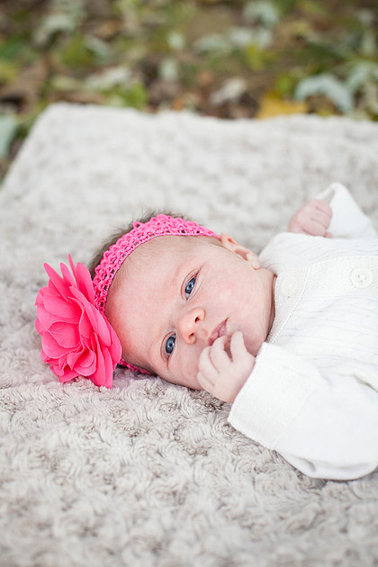 minneapolis family photographer