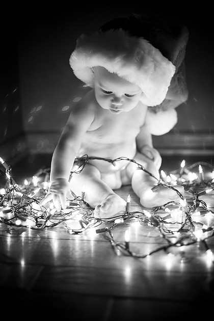 norwood young america family photographer