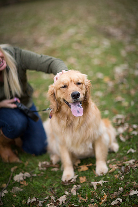 MinnetonkaDogFamilyPhotographer_6