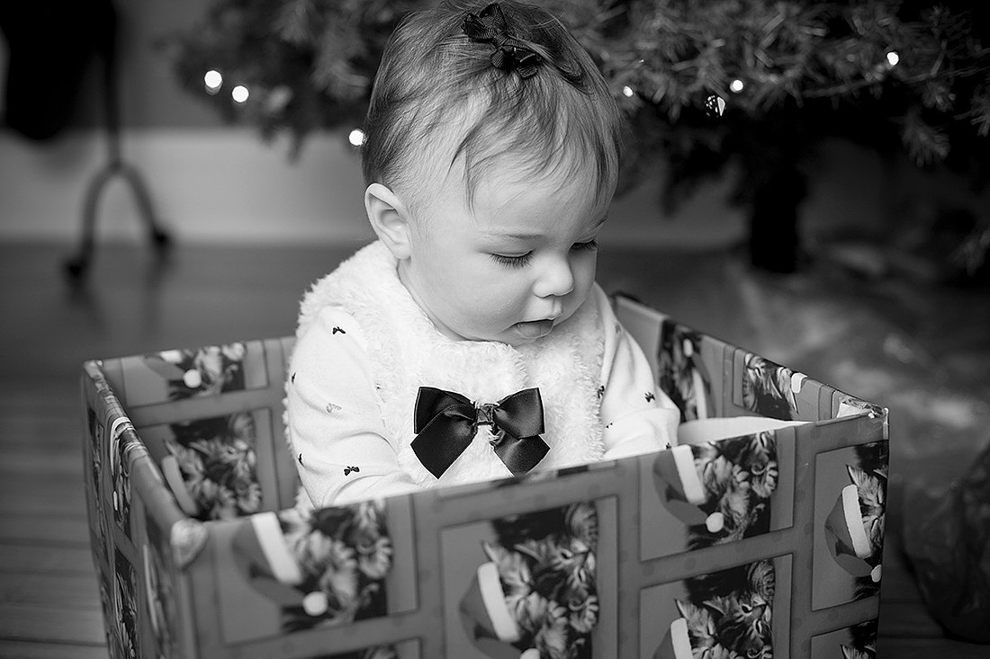 mn child portrait photographer