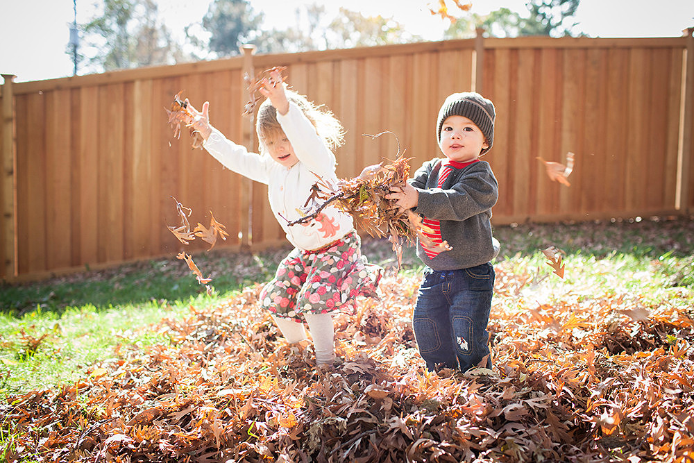 minneapolis family photographer