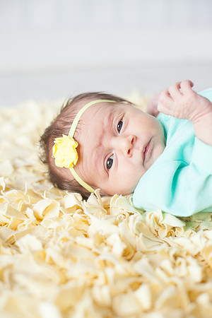 ChanhassenNewbornPhotographer_5