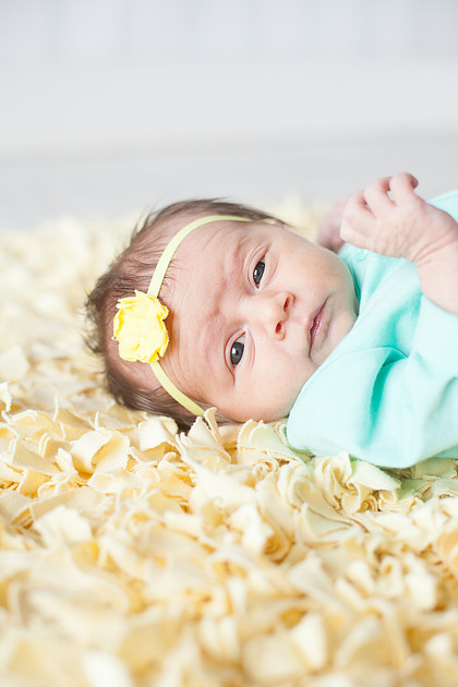 ChanhassenNewbornPhotographer_5