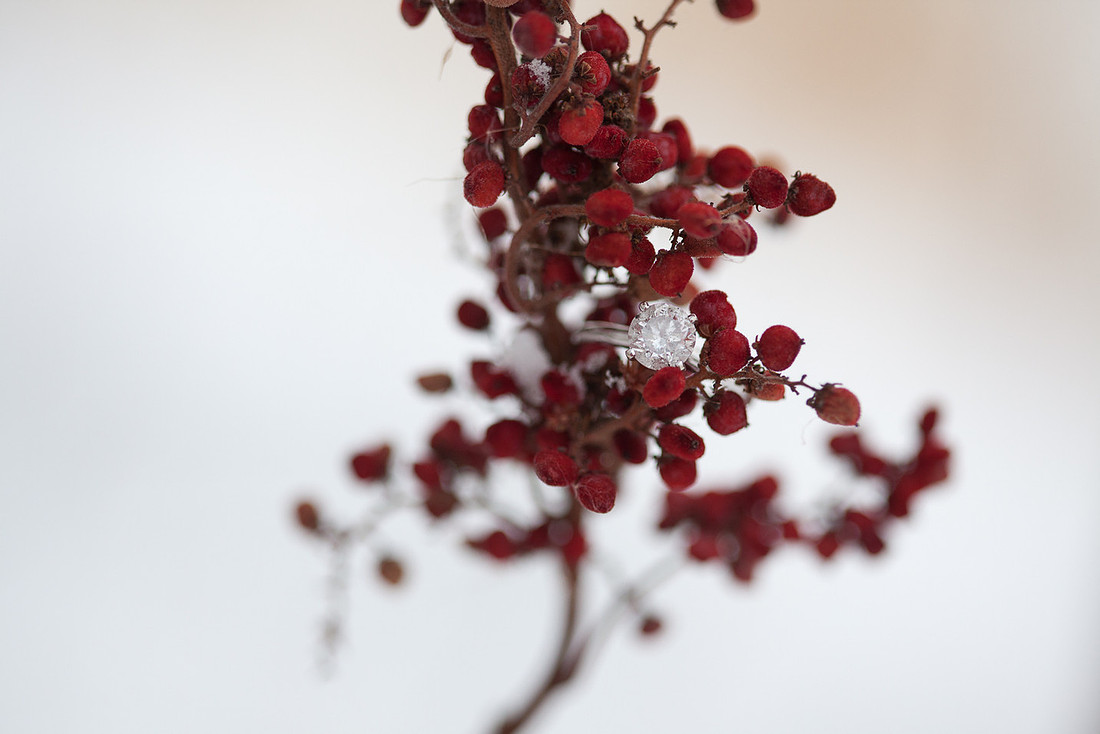 PriorLakeMNEngagementPhotography_-15