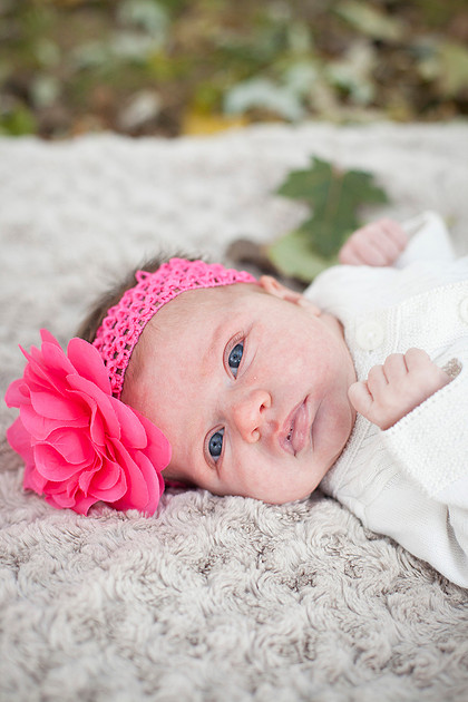 minneapolis family photographer