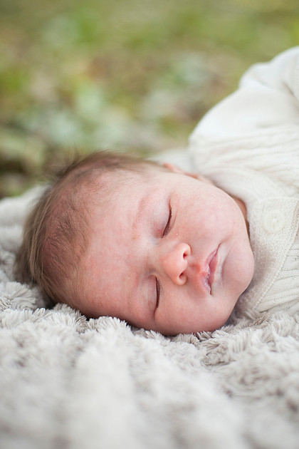 minneapolis family photographer